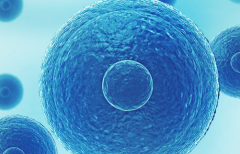 北京市试管包成功生孩子的私立医院靠谱吗？