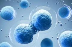 三代试管婴儿包成功可信吗？小心不良中介骗局