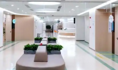 2026年广东省惠州市值得信赖的助孕公司盘点，前6名助孕机构详细介绍