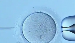 2026年阜新市人民医院单身试管成功率及费用明细，真实经验分享