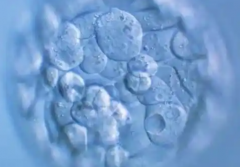 2026年在中国做三代试管包成功靠谱吗？医院名单一览