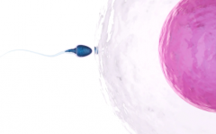 格鲁吉亚试管婴儿包成功服务调查：私立医院宣传暗藏哪些猫腻？