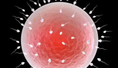 2026年单身群体在宜春妇幼做试管的条件与步骤一览