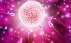 2026年港大深圳医院单身女性做试管婴儿费用明细表已公开！