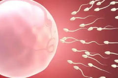 单身人士在天津总医院能做试管婴儿吗？大概要多少钱？