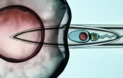 2026年在长春做三代试管包成功是真的吗？附医院介绍