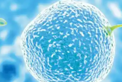 2026年武汉康健妇婴医院允许单身人士做试管吗？