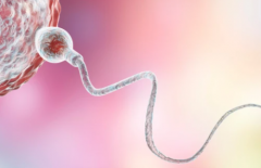 哈萨克斯坦有些试管婴儿机构承诺包成功？识别这些骗局避免上当！