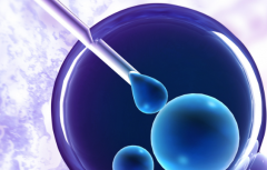 单身人士能在湘雅二医院做试管婴儿吗？费用与成功率全解析