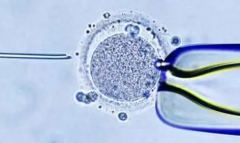 2026沈阳三代试管助孕包成功可信吗？操作流程与注意事项全知道