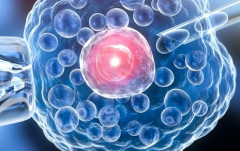 泰国三代试管包成功必看！2026医院选择及流程攻略