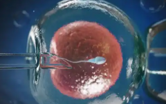 2026年荆门中心医院单身试管成功率及费用明细，真实经验分享