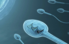 在合肥做试管婴儿的私立医院真的能包成功吗？这会不会是骗局？