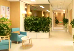 2026辽宁省沈阳市权威助孕公司盘点,服务项目及真实用户评价