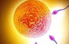 内蒙古自治区人民医院未婚女性试管婴儿成功率怎么样？