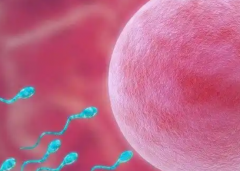 天津试管包成功私立医院靠谱吗？真实案例对比分析