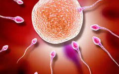 南平市人民医院没有结婚证的女性试管婴儿多少钱？和其他医院费用相