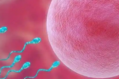 新疆私立试管机构医院能接受单身女性做试管助孕吗？