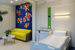 2026年武汉市正规助孕机构前十名盘点