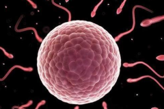 黄石爱康医院试管需要结婚证吗？没领结婚证想做试管婴儿怎么办？