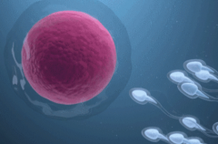 俄罗斯私立医院试管婴儿包成功可信吗？真实成功率大概是多少？