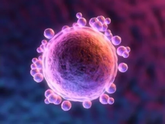 单身女性可以在晋中婴泰医院做三代试管婴儿吗？成功率高不高？