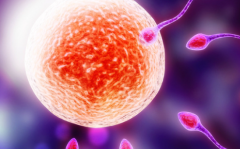 单身人士能在安阳市妇幼保健院做试管婴儿吗？费用与成功率全解析