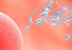 合肥试管包成功生孩子的私立医院是不是骗局?