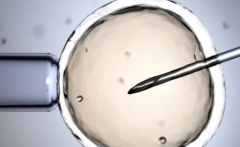 找西安私立医院做试管婴儿必看，包成功条款里的隐藏条款解析