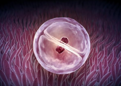 无结婚证在宝鸡妇幼做试管婴儿可行吗？费用及成功率一览