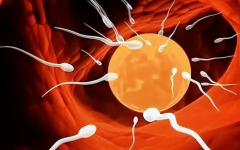 濮阳妇幼三代试管攻略：单身适用性、费用及成功率一览