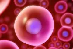 东营单身女性在东营人民医院做试管婴儿成功率有多高？