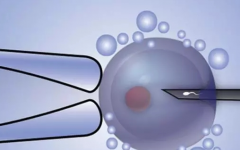 中国试管助孕包成功生孩子的私立医院可信吗？