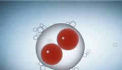 2026年武汉市三代试管婴儿包成功真相：操作步骤与避坑指南