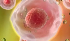 吉林省长春市试管包成功生孩子的私立医院是不是骗局？