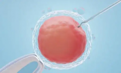 2026年单身去新疆第一附属医院做一次三代试管要花多少钱？费用详细介