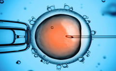 2026年深圳市三代试管婴儿包成功是真是假？流程步骤与注意要点