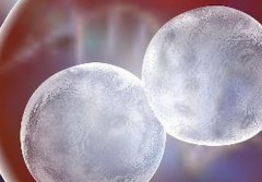 中介称美国试管婴儿成功率达80%，揭秘海外技术究竟如何