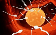 2026年未婚想做试管婴儿怎么办？临沂中心医院可以操作吗？