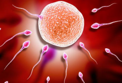 2026年没有结婚证能做试管婴儿吗？成都三医院是不是可以？