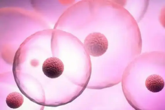 辽宁沈阳试管包成功生孩子的私立医院靠谱吗？