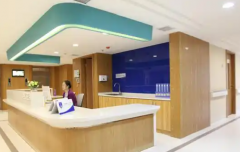 广东助孕机构推荐2026/湛江市助孕公司排行榜