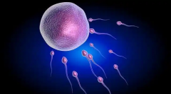 2026年内蒙古包钢医院单身女性做试管婴儿费用明细表一览！