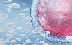 没有结婚证也能做试管？石家庄市妇产医院单身未婚人群申请指南