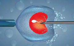 没有结婚证在荆州市第一人民医院做试管可行吗？费用与成功率详细说