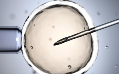 柬埔寨三代试管成功率高的医院能包成功吗？就诊次数详解