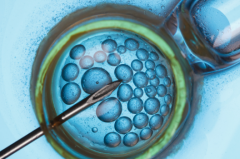 2026年在郑州大学第一附属医院单身人士能做试管吗？