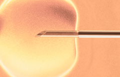 吉尔吉斯斯坦试管包成功有保障吗？2026年最新收费和成功率详细比拼