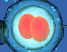 2026年广州市妇女医院未婚单身试管助孕价格表一览！