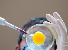 韶关助孕服务医院最新排名：公立vs私立，选机构的重要参考！